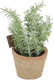 Műnövény (magasság 21,5 cm) Thyme – Esschert Design
