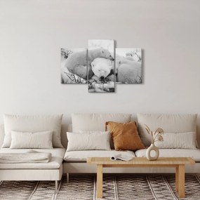 Kép - Jegesmedvék (90x60 cm)