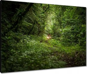 Vászonkép 80x60 Quad Négy kerék Terep