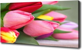 Vászonkép Színes tulipánok 100x70 cm