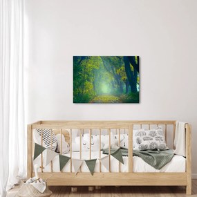 Fákkal szegélyezett út képe (70x50 cm)