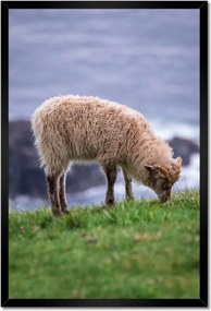 Poszterek keretben 40x60 Juh legeltetés Bárányok