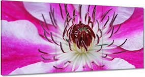 Vászonkép 180x90 Fehér-lila szirmok