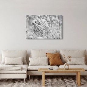 Kép - Havas ágak (90x60 cm)
