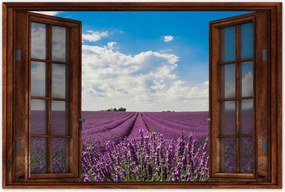 Poszterek 60x40 Levendulamező Levendula