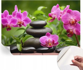 Öntapadós fotótapéta Falra 3D Loft Orchideák kövek 208x146 cm