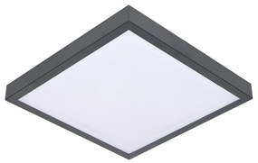 BOWI Mennyezeti lámpa VITAL 2xE27/60W/230V antracit SKU013034