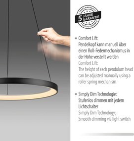 Paul Neuhaus modern függeszték hoop fekete pln2851-18