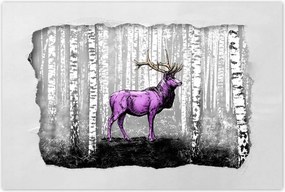 Poszterek 90x60 Szarvas Nyírfa Erdő