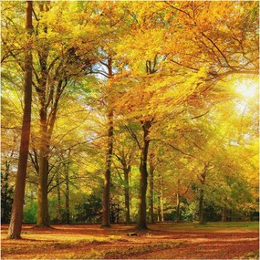 Fotótapéta Flizelin Hálószoba és Nappali Tapéta Arany levelek 250x250