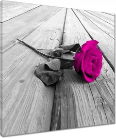 Vászonkép 50x50 Rózsa a deszkákon Virág