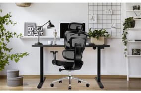 Ergonomikus ortopéd kényelmes irodai forgószék , deréktámasz fekete