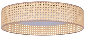 Duolla - LED Mennyezeti lámpa ROLLER LED/24W/230V átm. 45 cm rattan