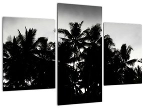 A fekete-fehér pálmafák képe (90x60 cm)