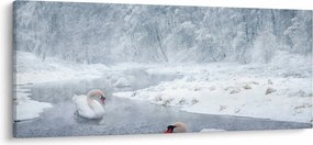 Hattyú képe (120x50 cm)