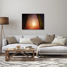 Őszi erdő képe a ködben (üvegen) (70x50 cm)