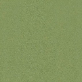 világoszöld bársonyszék falábakkal