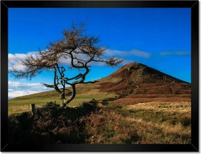 Poszterek keretben 40x30 Elpusztíthatatlan fa