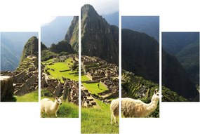 Kép - Lámák Machu Picchuban (150x105 cm)