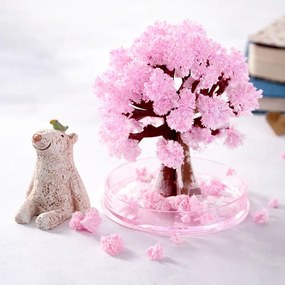 Zaparkorun Mágikus Sakura fa
