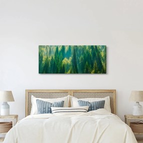 Kép - fenyőerdő (120x50 cm)