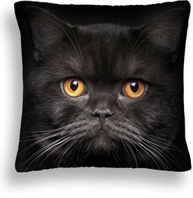 Macska Párna 38 Komoly Sárga Szem Bajusz 50x50