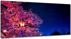 Képek 115x55 Hálószoba motívum Lámpa