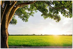 Poszterek 120x80 Misztikus naplemente