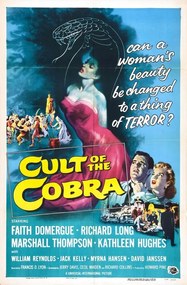 Illusztráció Cult Of Cobra