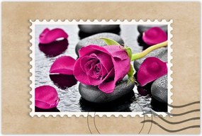 Poszterek 90x60 Rózsaszín rózsa köveken