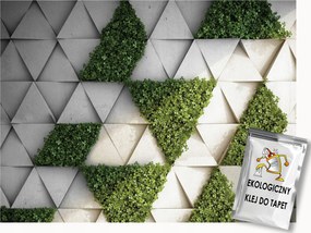 Fotótapéta Flizelina Kert Növények Geometria Beton Levelek 3D 150x105 ragasztó