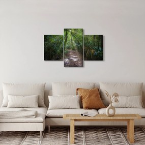 Kép - Napsugarak a dzsungelben (90x60 cm)