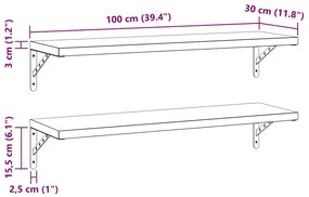 2 db ezüstszínű rozsdamentes acél fali polc 100 x 30 cm