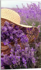 Üveg Vágódeszka 30x52 Levendula Konyha