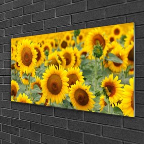 Fali üvegkép Plant napraforgó Természet 120x60cm