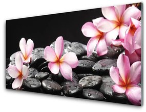 Üvegkép Plumeria virág a fal 100x50 cm 4 fogas