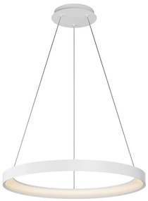Top Light Top Light-LED Dimmelhető csillár zsinóron ORBIT LED/40W/230V 3000-6500K átm. 50 cm fehér + távirányító TP1811