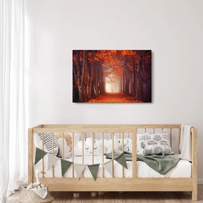 Kép - őszi erdő (90x60 cm)