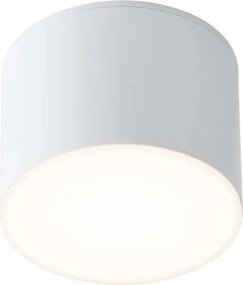 ANTIGO 7720 SUWA Hengeres Mennyezeti Lámpa Fehér GX53 IP44