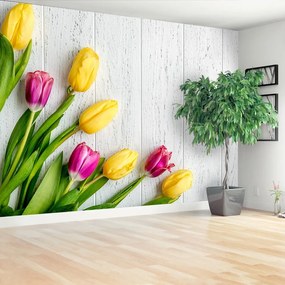 Fotótapéta sárga tulipánok 104x70 cm