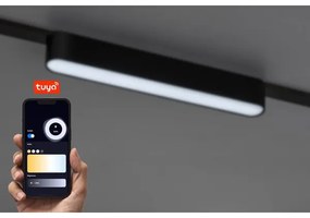 Rabalux 70123-LED Dimmelhető mennyezeti lámpa 1 fázisú sínrendszerhez LiTrack 12W/24V 22 cm