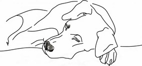 Poszter 40x55cm Kutya pihenés