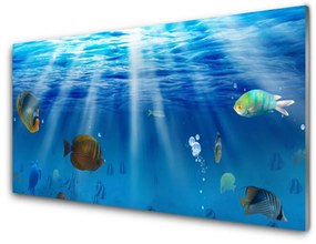 Üvegkép hal Természet 100x50 cm