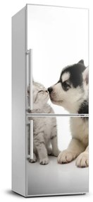 Hűtőre ragasztható matrica Kutya és macska FridgeStick-70x190-f-73561386