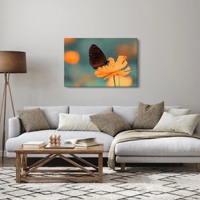 Kép - pillangó narancssárga virágon (90x60 cm)