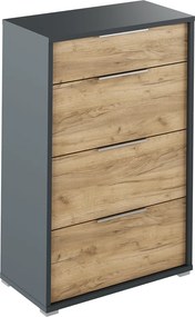 Fiókos komód, grafit/tölgyfa artisan, RIOMA NEW TYP 22