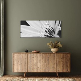 Kép - Fekete-fehér virág (120x50 cm)