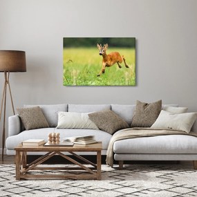 Kép - Őz (90x60 cm)