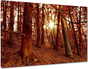 Festmények 100x70 Tájkép Látvány