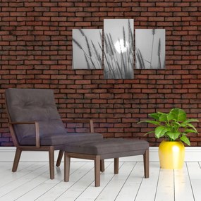 Kép - Mező naplementében (90x60 cm)